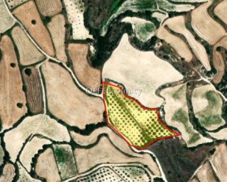 Agricultural Field for sale in Letymvou, Paphos