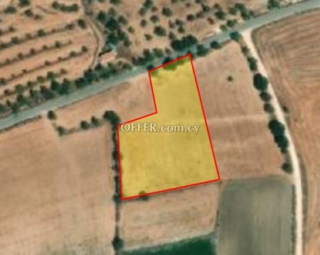 Agricultural Field for sale in Anarita, Paphos