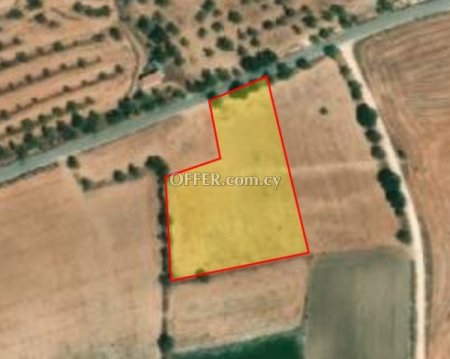Agricultural Field for sale in Anarita, Paphos