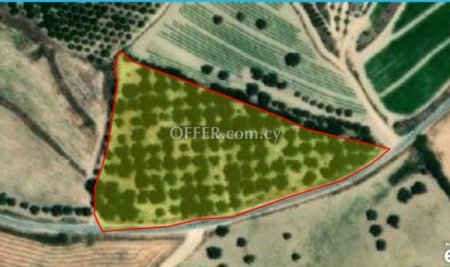 Field for sale in Chrysochou, Paphos