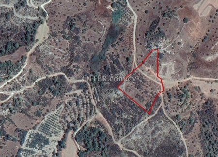 Agricultural Field for sale in Kynousa, Paphos - 1