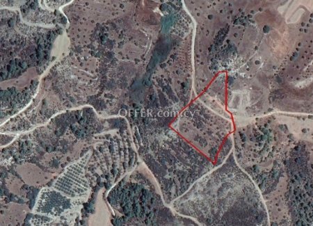 Agricultural Field for sale in Kynousa, Paphos