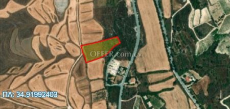 Field for sale in Kathikas, Paphos