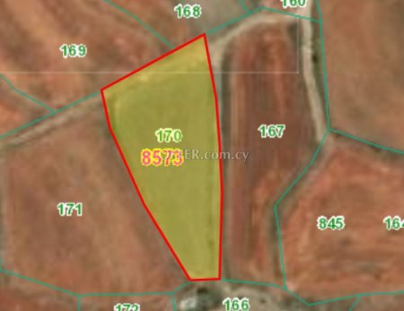 Field for sale in Kathikas, Paphos