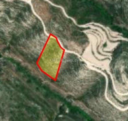 Field for sale in Kathikas, Paphos - 1