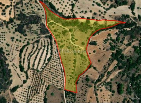 Field for sale in Meladeia, Paphos