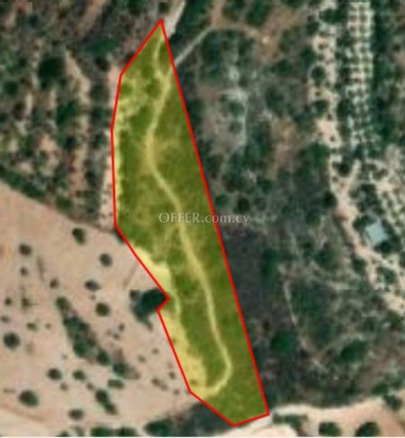 Field for sale in Koili, Paphos - 1