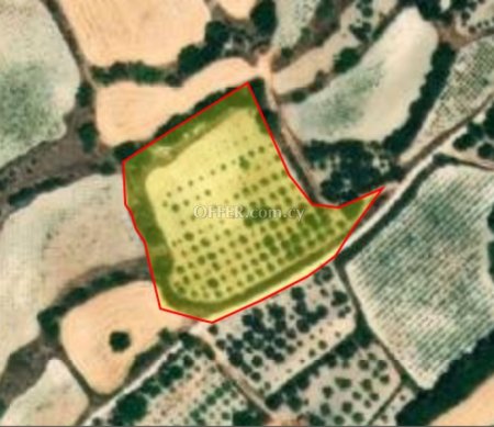 Field for sale in Lemona, Paphos