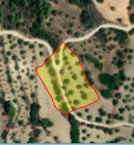 Field for sale in Lysos, Paphos