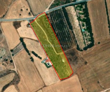 Residential Field for sale in Kouklia, Paphos - 1