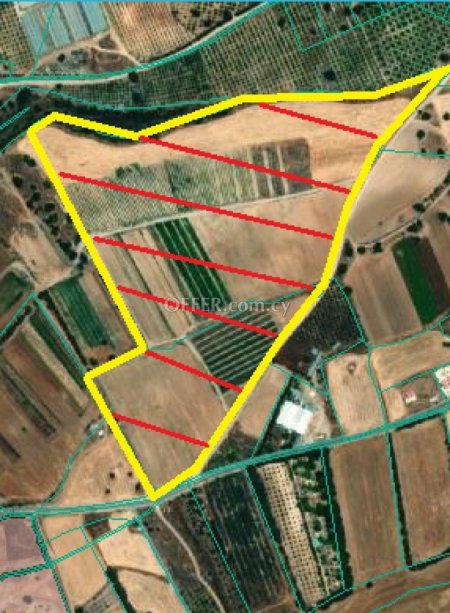 Agricultural Field for sale in Kouklia, Paphos - 1