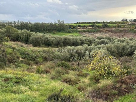 Field for sale in Nikokleia, Paphos - 1