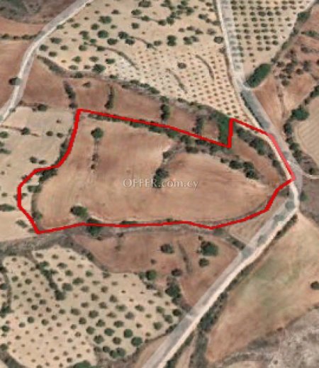 Agricultural Field for sale in Drymou, Paphos - 1