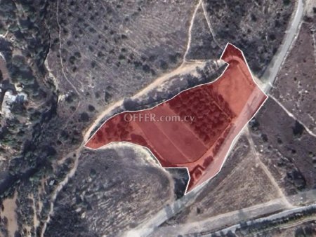 Agricultural Field for sale in Mesogi, Paphos