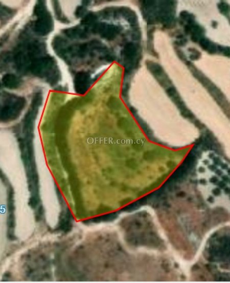 Field for sale in Stroumbi, Paphos