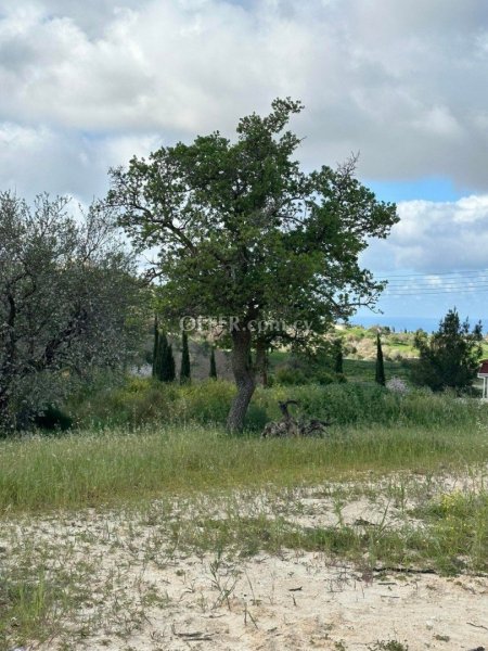 Building Plot for sale in Armou, Paphos - 1