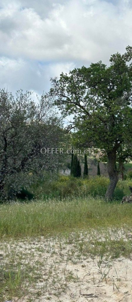 Building Plot for sale in Armou, Paphos - 1