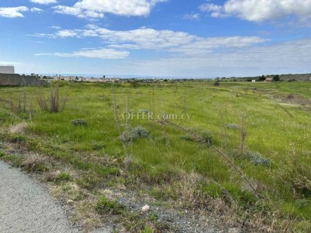 Field for sale in Anarita, Paphos