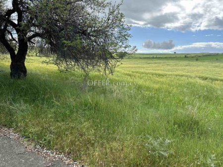 Agricultural Field for sale in Anarita, Paphos