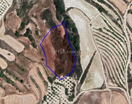 Agricultural Field for sale in Stroumbi, Paphos