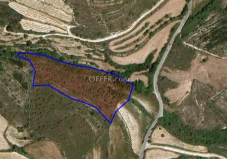 Agricultural Field for sale in Kathikas, Paphos