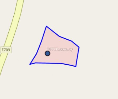 Field for sale in Drousia, Paphos