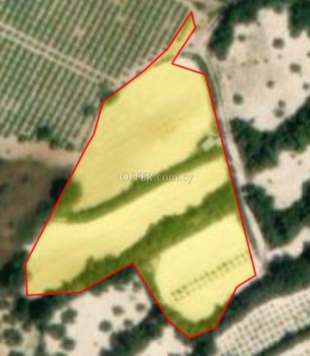 Agricultural Field for sale in Koili, Paphos