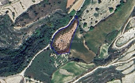 Residential Field for sale in Koili, Paphos - 1