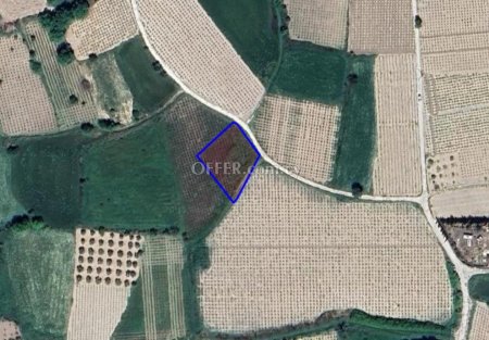 Field for sale in Polemi, Paphos - 1
