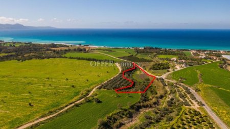Field for sale in Polis Chrysochous, Paphos