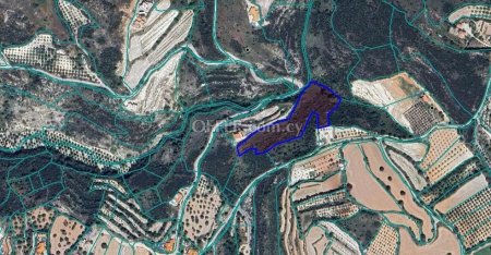 Agricultural Field for sale in Armou, Paphos