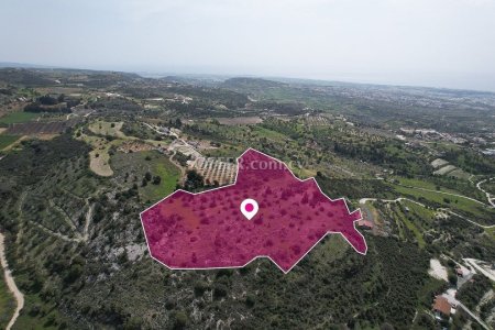 Agricultural Field for sale in Mesogi, Paphos