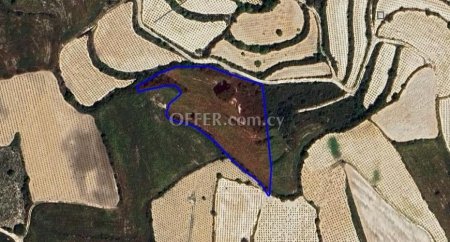 Agricultural Field for sale in Kathikas, Paphos - 1