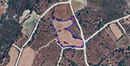 Agricultural Field for sale in Arminou, Paphos