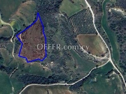 Agricultural Field for sale in Akourdaleia Kato, Paphos - 1