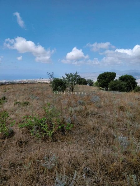Development Land for sale in Drousia, Paphos - 1