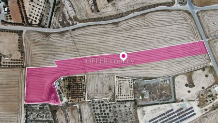 Share of agricultural field in Tseri Nicosia - 4