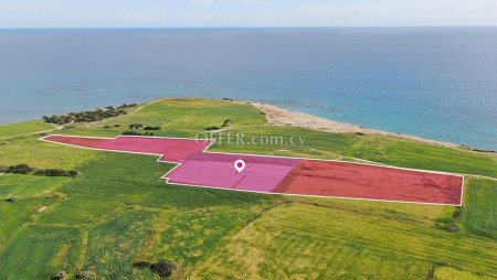 Seaview Field in Mazotos Larnaca - 4
