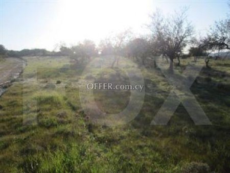 Field for sale in Apsiou, Limassol - 3