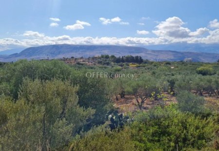 Agricultural Field for sale in Akrotiri, Limassol - 2