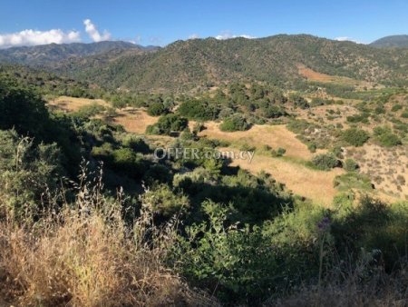 Agricultural Field for sale in Kapileio, Limassol - 4