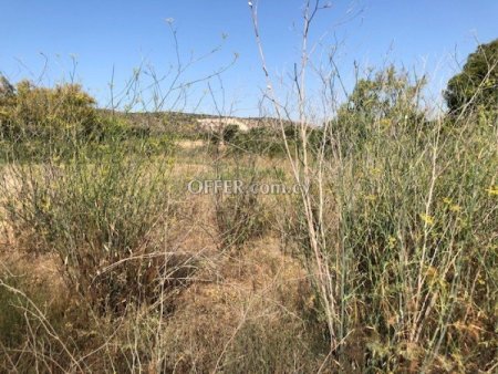 Residential Field for sale in Moni, Limassol - 4