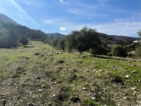 Agricultural Field for sale in Mathikoloni, Limassol - 5
