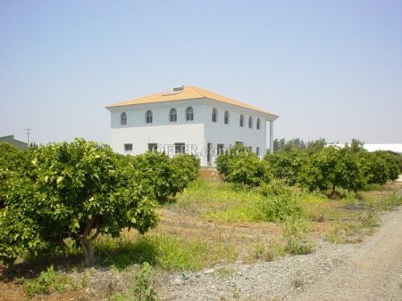 7 Bed House for rent in Kolossi, Limassol - 6
