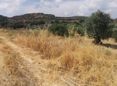 Agricultural Field for sale in Eptagoneia, Limassol - 4