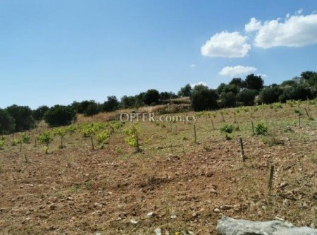 Residential Field for sale in Pachna, Limassol - 6
