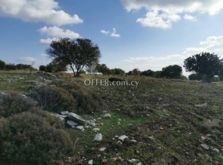Field for sale in Anogyra, Limassol - 2