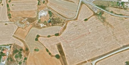 Field for sale in Moni, Limassol - 3