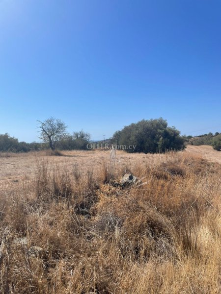 Agricultural Field for sale in Parekklisia, Limassol - 4