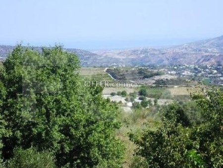 Field for sale in Stroumbi, Paphos - 5